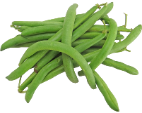Beans