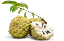 Custard Apple