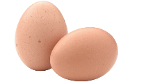 Egg