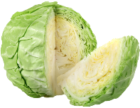 Cabbage