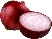 Onion