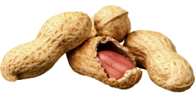 Peanuts