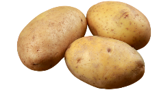 Potato